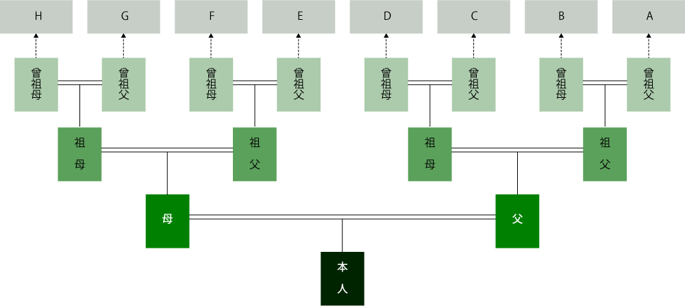 家系図イメージ図