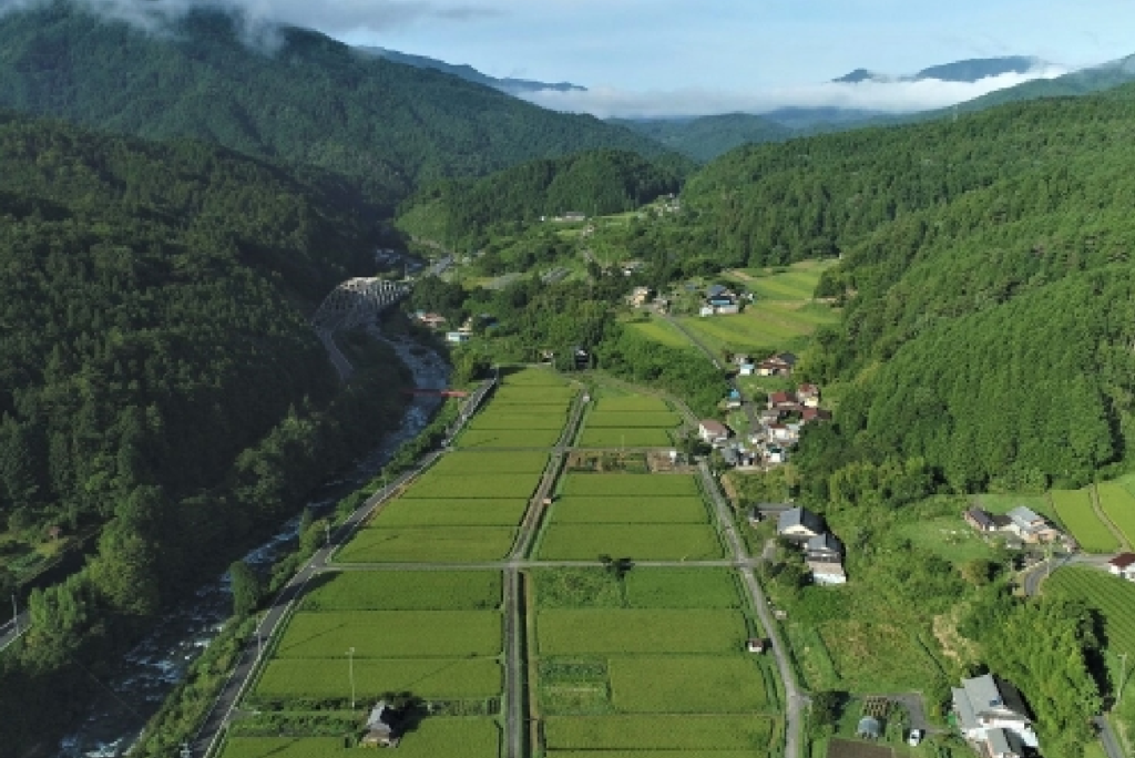 農地法上の届出・許可など